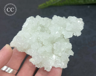 Prehnite Pseudomorph after Laumontite #7