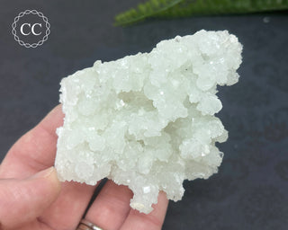 Prehnite Pseudomorph after Laumontite #7