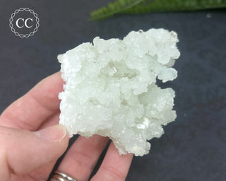 Prehnite Pseudomorph after Laumontite #7