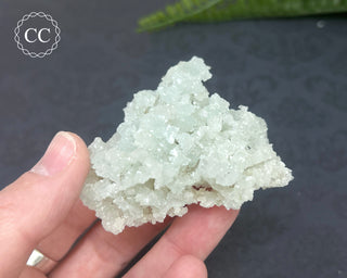 Prehnite Pseudomorph after Laumontite #8