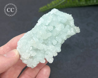 Prehnite Pseudomorph after Laumontite #1