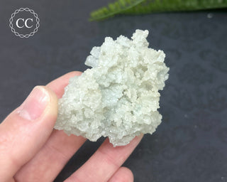 Prehnite Pseudomorph after Laumontite #8