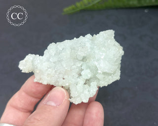 Prehnite Pseudomorph after Laumontite #9