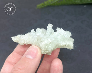 Prehnite Pseudomorph after Laumontite #9