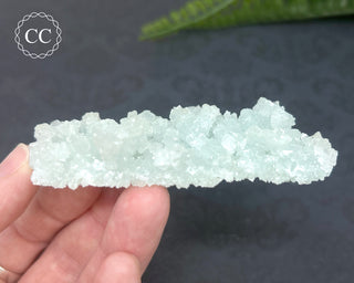 Prehnite Pseudomorph after Laumontite #1