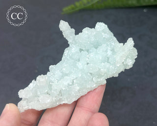 Prehnite Pseudomorph after Laumontite #10