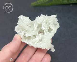 Prehnite Pseudomorph after Laumontite #12