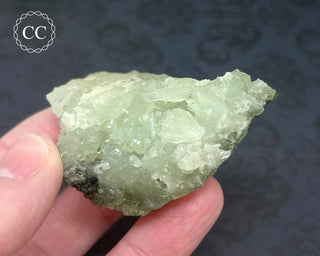 Prehnite Cluster #5