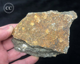 Preseli Bluestone Specimen #2