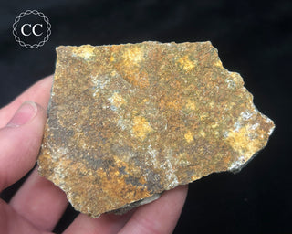 Preseli Bluestone Specimen #5