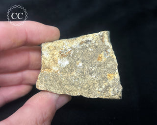 Preseli Bluestone Specimen #8