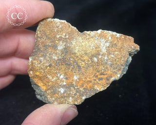 Preseli Bluestone Specimen #9