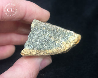 Preseli Bluestone Specimen #10