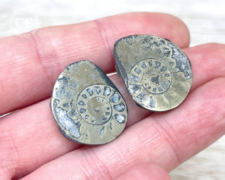 Pyrite Ammonite Pair #3