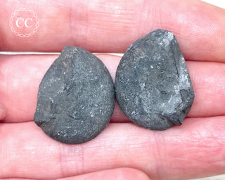 Pyrite Ammonite Pair #7
