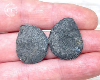 Pyrite Ammonite Pair #8
