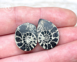 Pyrite Ammonite Pair #9