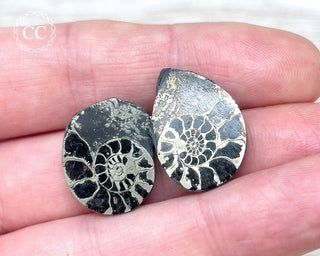 Pyrite Ammonite Pair #9
