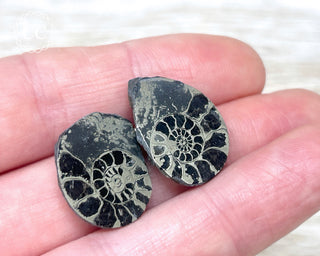 Pyrite Ammonite Pair #9