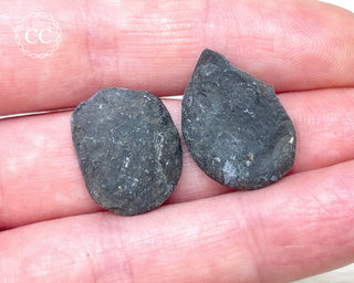 Pyrite Ammonite Pair #9
