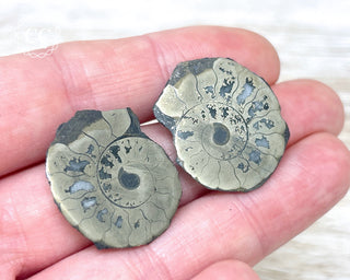 Pyrite Ammonite Pair #10