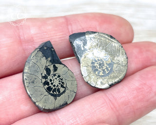 Pyrite Ammonite Pair #11