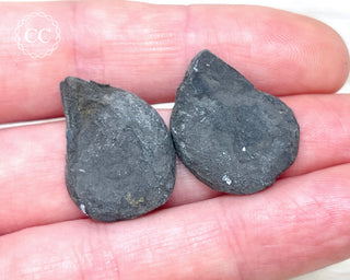 Pyrite Ammonite Pair #11