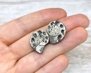 Pyrite Ammonite Pair #6