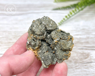 Pyrite Cluster - Colorado #1