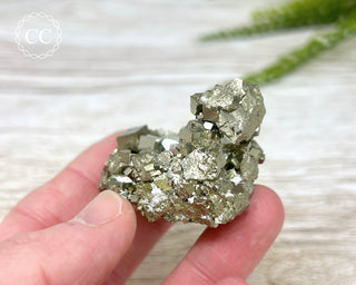 Pyrite Cluster - Peru #14