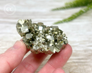 Pyrite Cluster - Peru #14