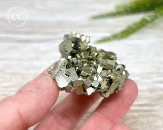 Pyrite Cluster - Peru #14