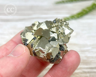 Pyrite Cluster - Peru #21