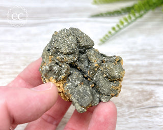 Pyrite Cluster - Colorado #1