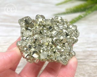 Pyrite Cluster - Peru #6
