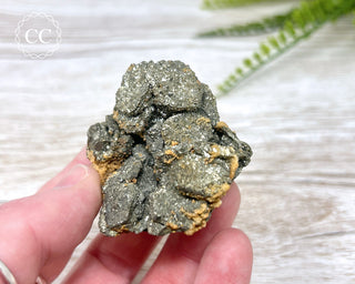 Pyrite Cluster - Colorado #1