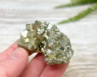 Pyrite Cluster - Peru #11