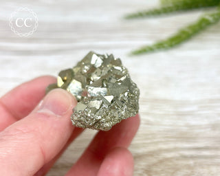 Pyrite Cluster - Peru #11