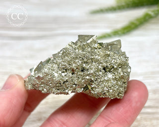 Pyrite Cluster - Peru #11