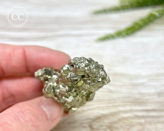 Pyrite Cluster - Peru #12