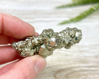 Pyrite Cluster - Peru #12