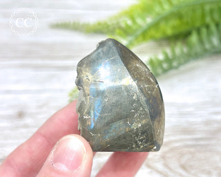 Pyrite Freeform #10