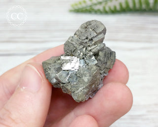 Pyrite Cluster - Morocco #2