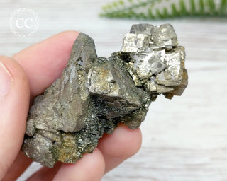 Pyrite Cluster - Morocco #5
