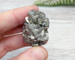 Pyrite Cluster - Morocco #1