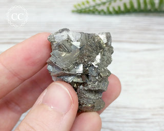 Pyrite Cluster - Morocco #7