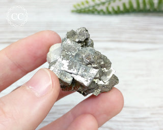 Pyrite Cluster - Morocco #8