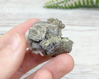 Pyrite Cluster - Morocco #8