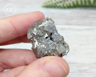 Pyrite Cluster - Morocco #1