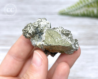 Pyrite - Panasqueira Mine #24